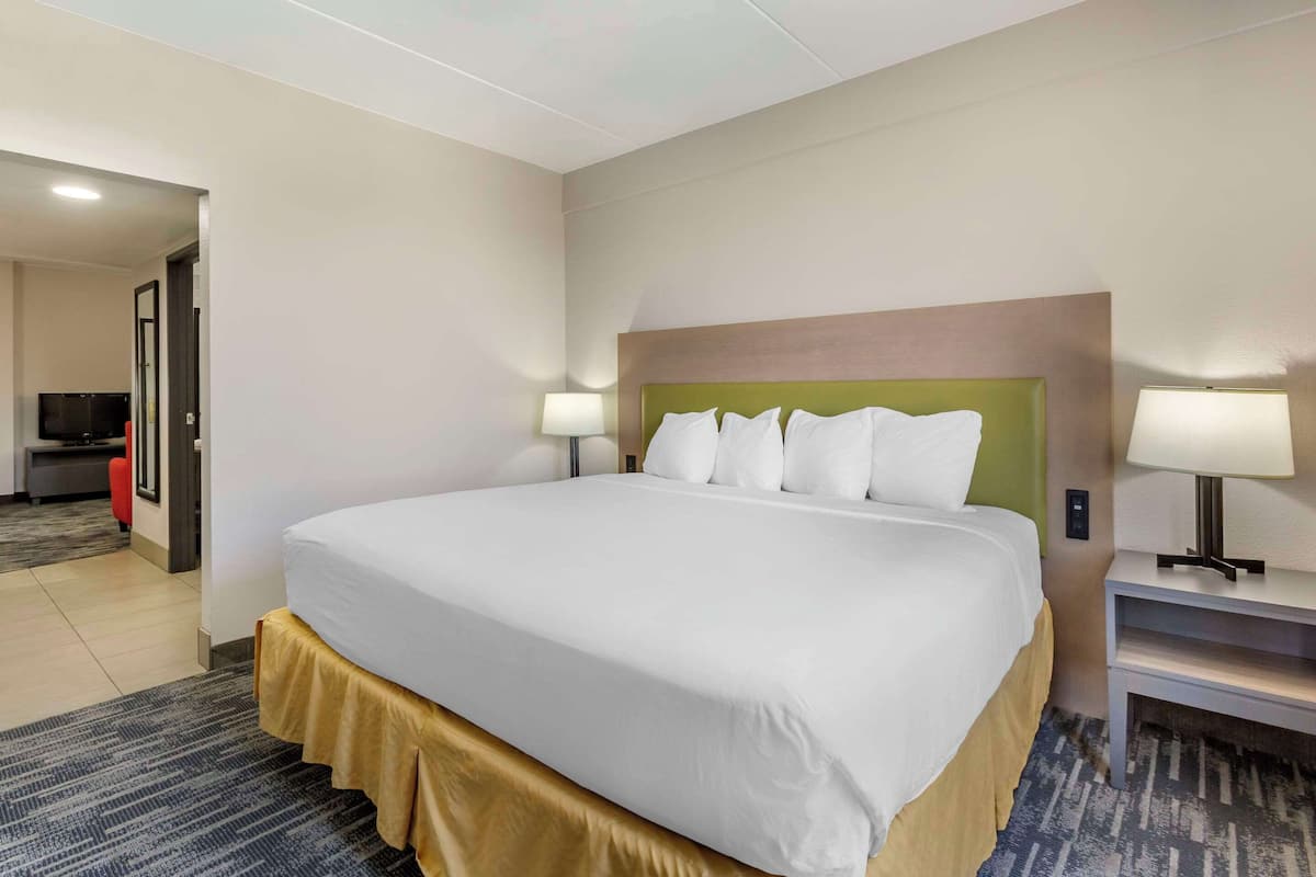 A hotel room with a large bed, two bedside lamps, a television, and a small desk.