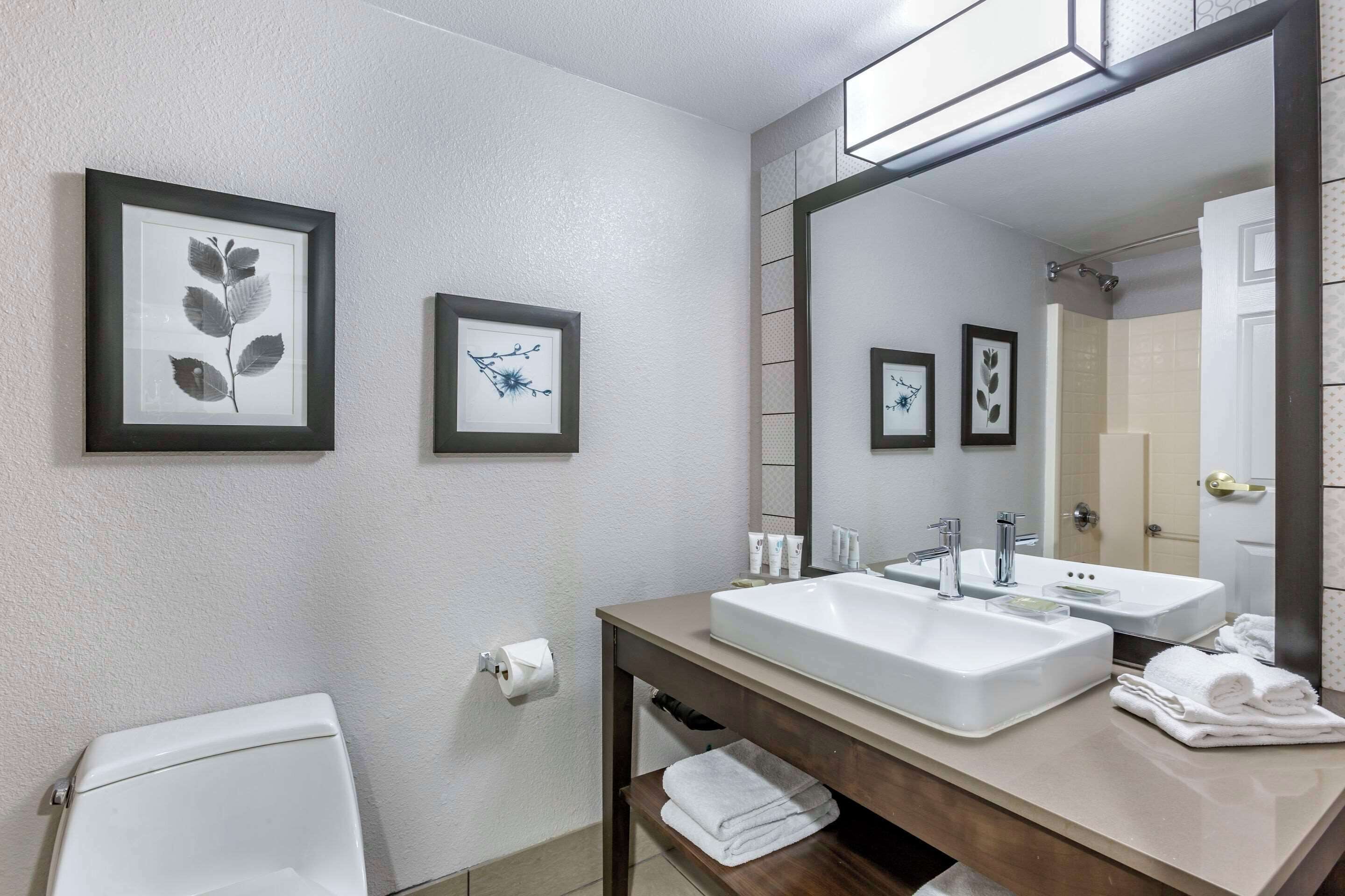 A bathroom with two sinks, a toilet, framed botanical prints, and a large mirror.