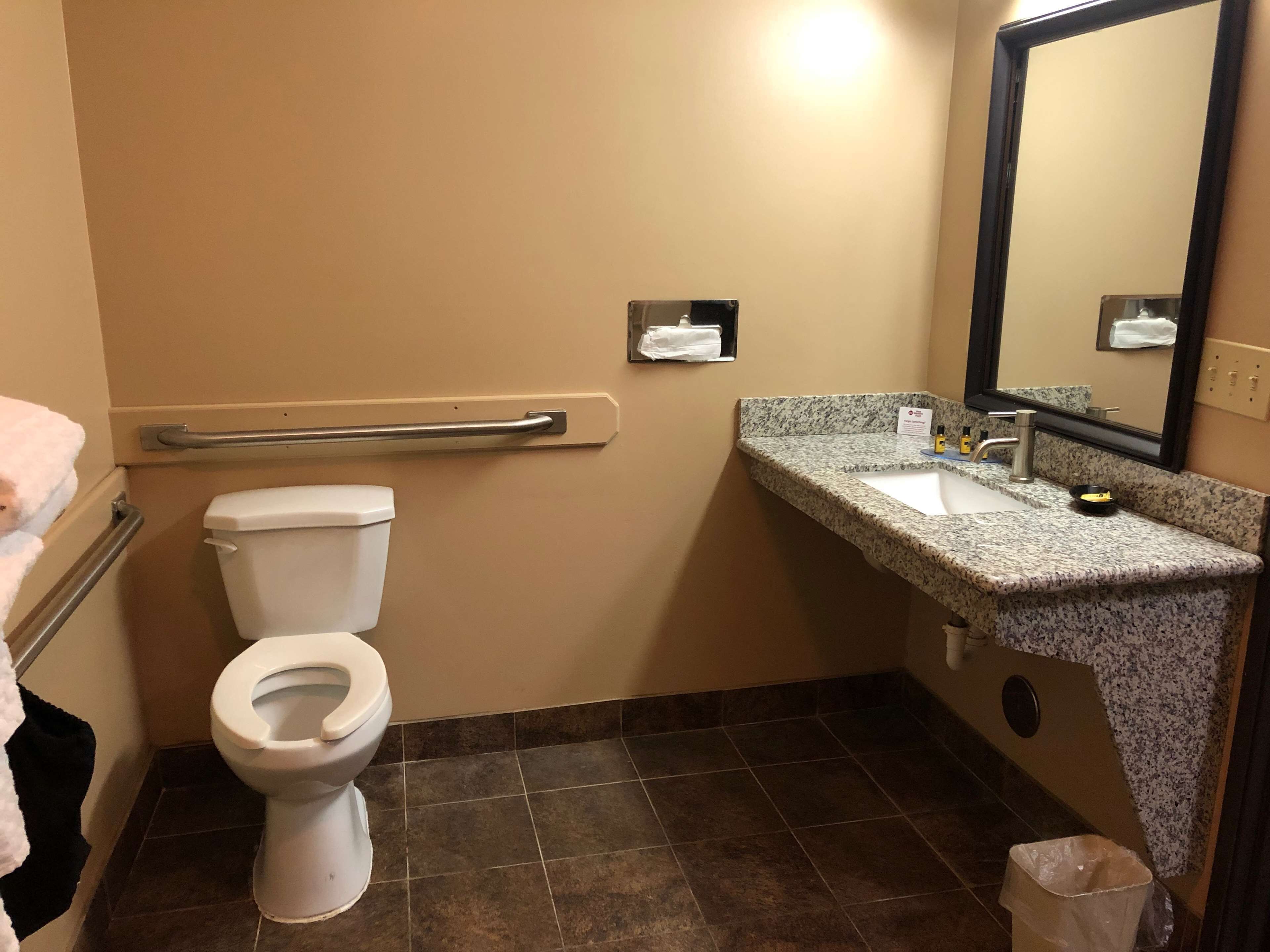 A bathroom with a toilet, a handrail, a sink with a granite countertop, and a mirror.