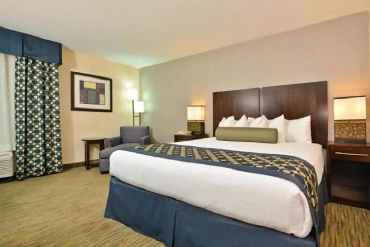 Ropa de cama hipoalergénica, camas con pillow-top y escritorio