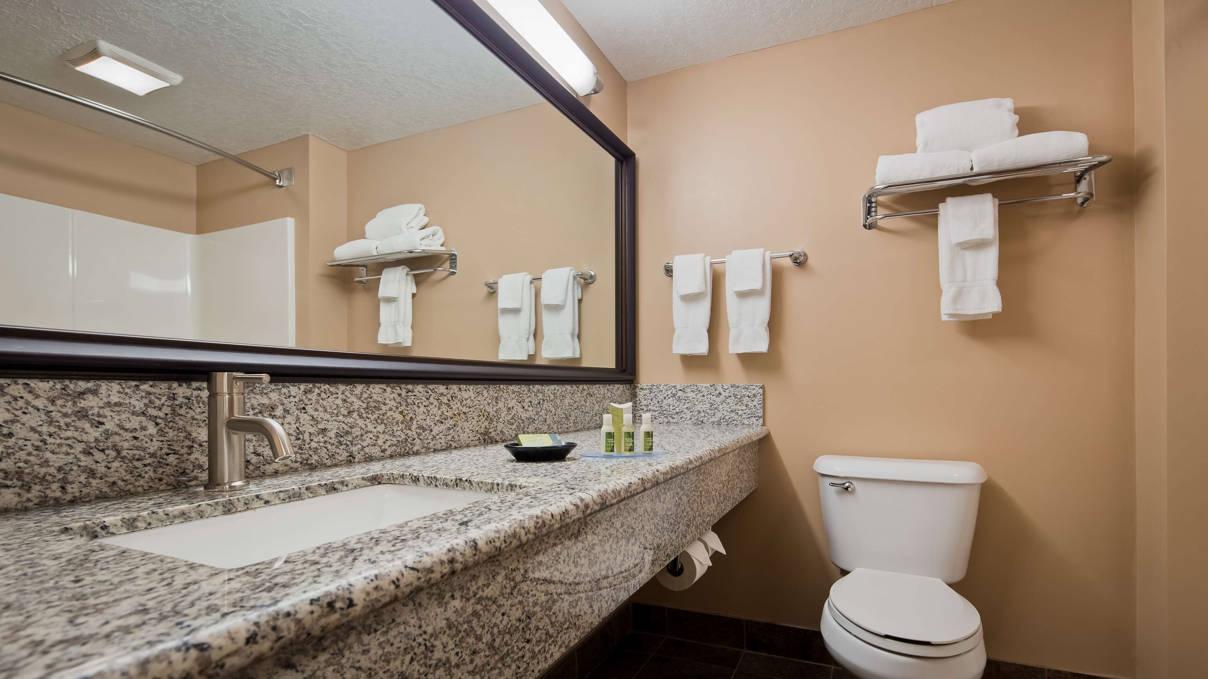 Une salle de bain avec un comptoir en granit, un lavabo, un miroir, des toilettes et des porte-serviettes.
