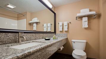 Un bagno con piano in granito, lavandino, specchio, WC e portasciugamani.