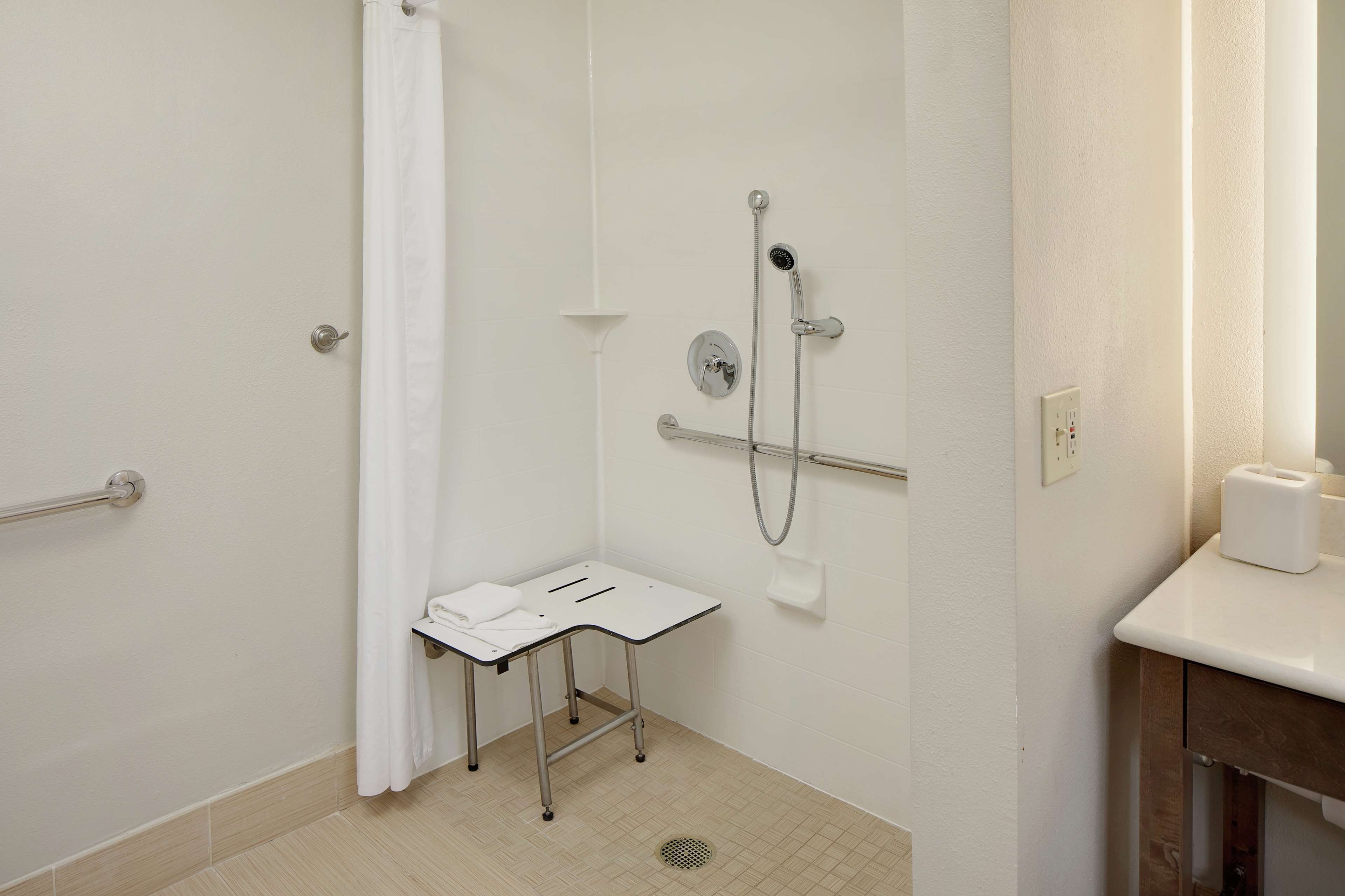 premium suite, 1 king bed, accessible | bathroom shower