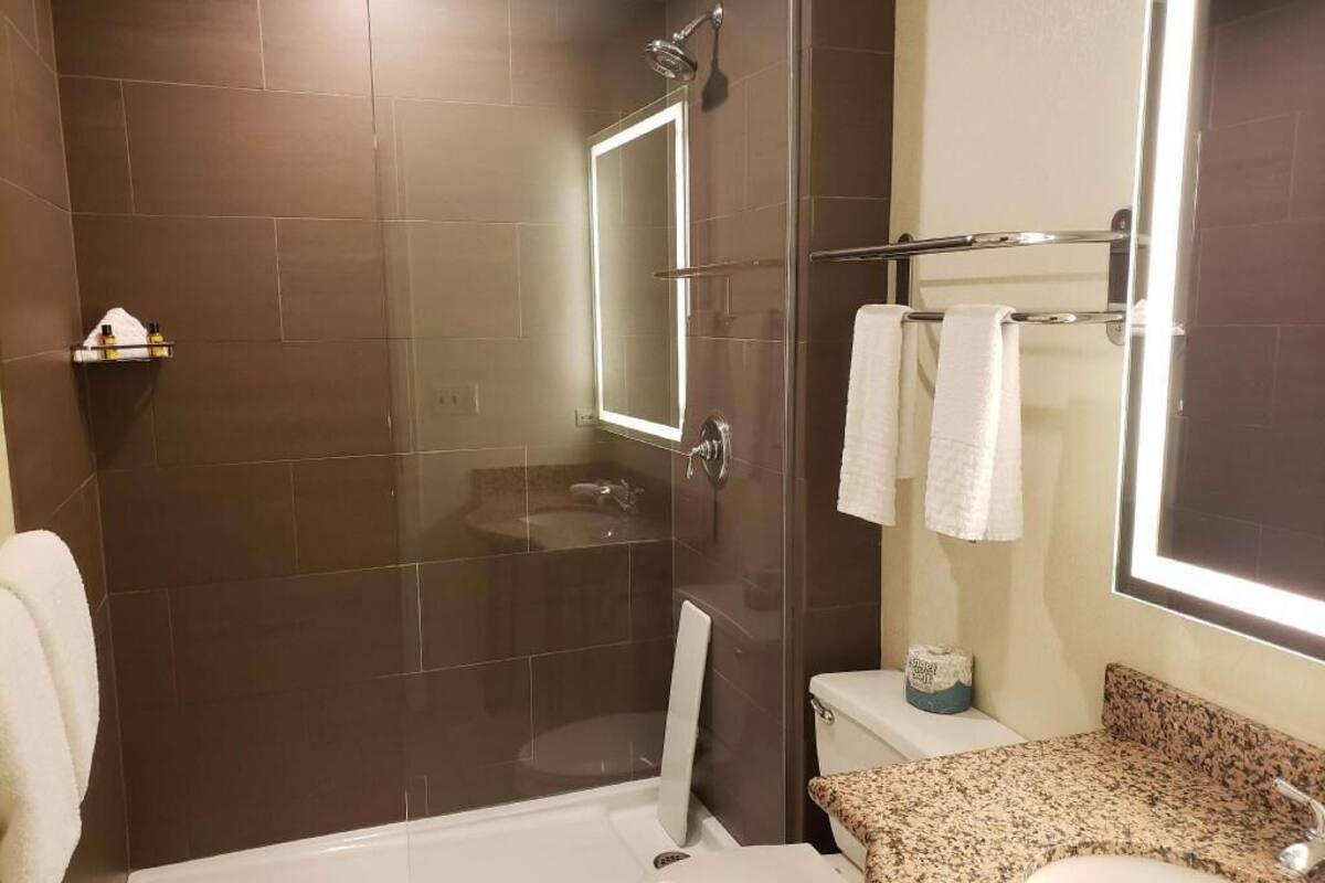 A bathroom with a glass-enclosed shower, a toilet, a sink, and a mirror.