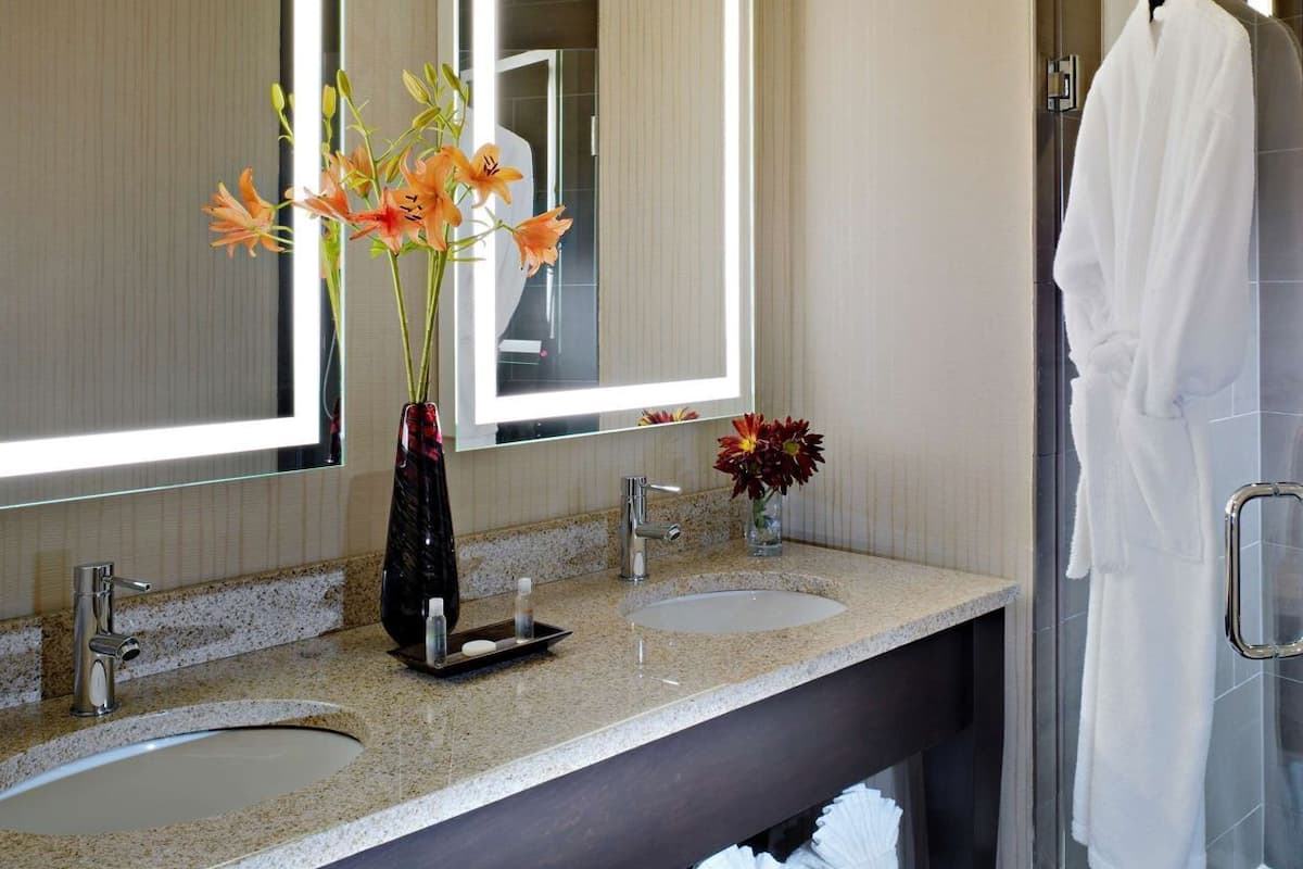 Baño | Amenidades de baño gratuitas, secadora de cabello, toallas, jabón