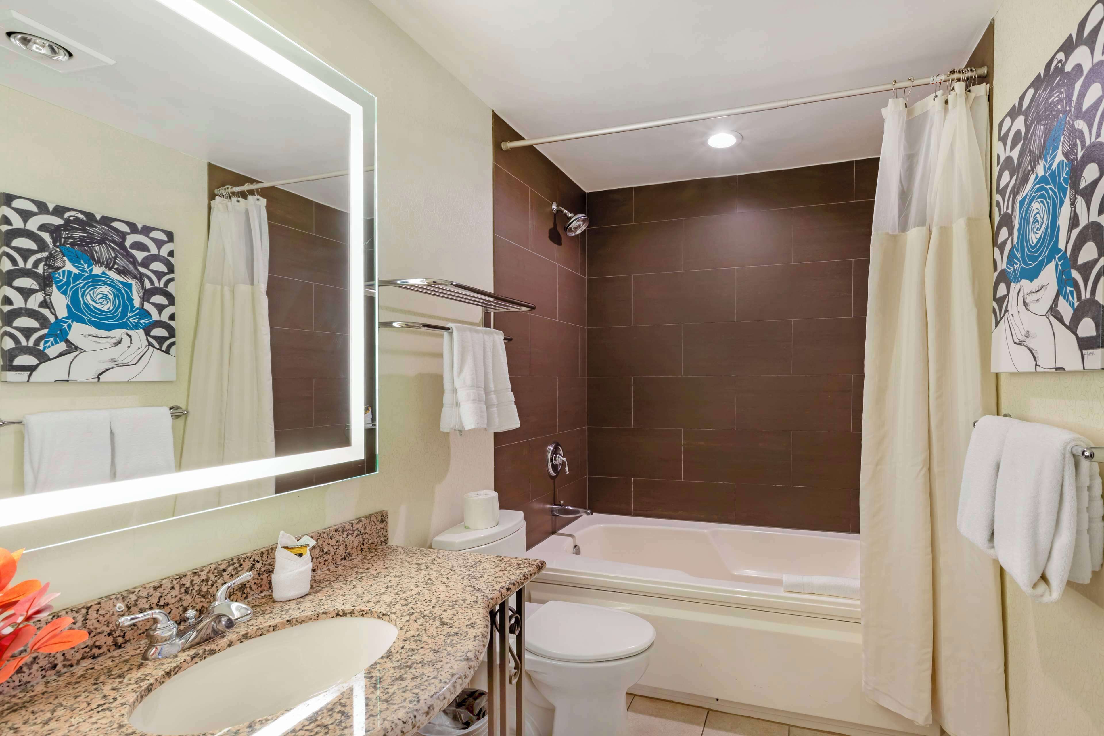 Standard Room, 1 King Bed, Non Smoking, Jetted Tub (with Sofabed) | Bathroom | Free toiletries, hair dryer, towels, soap