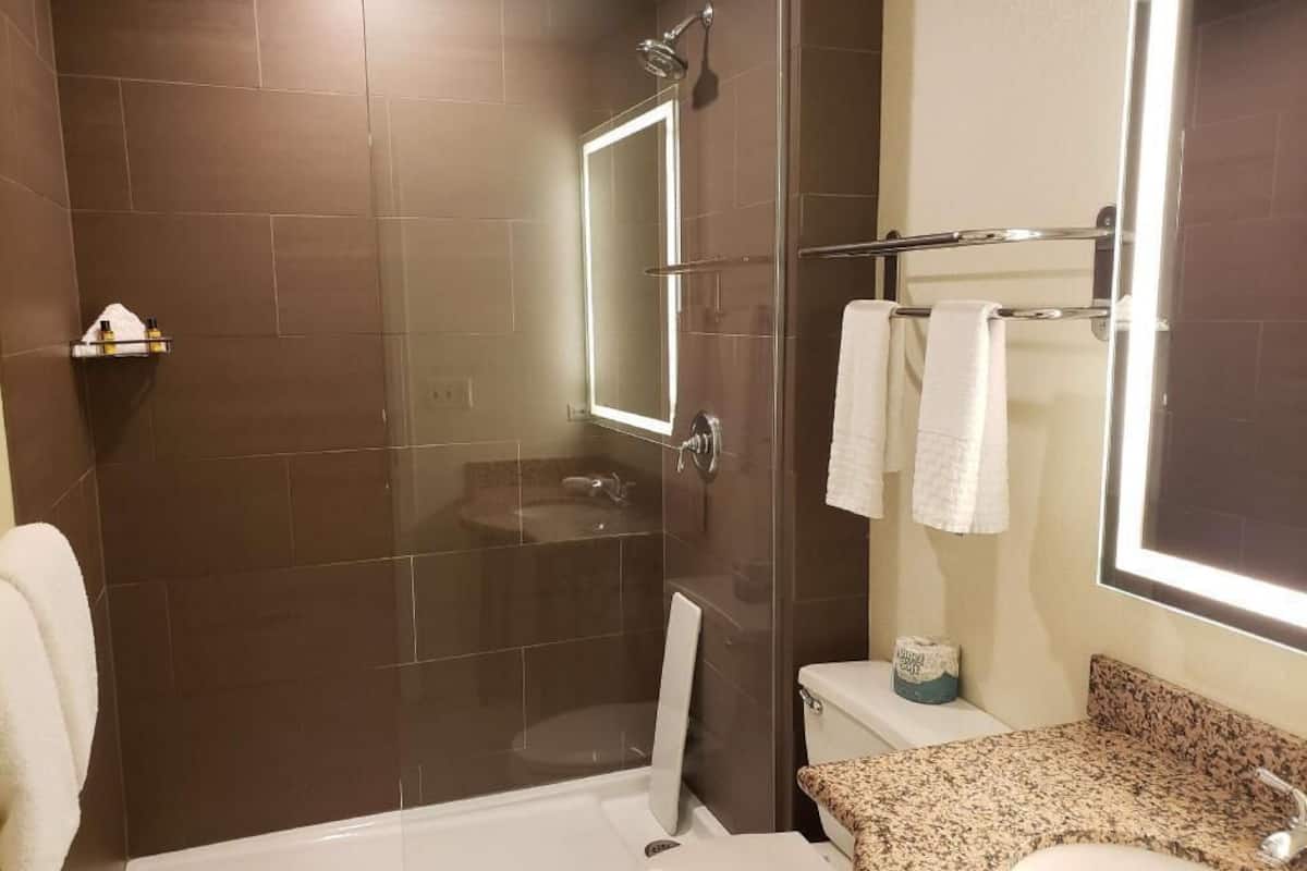 A bathroom with a glass-enclosed shower, a toilet, a sink, and a mirror.
