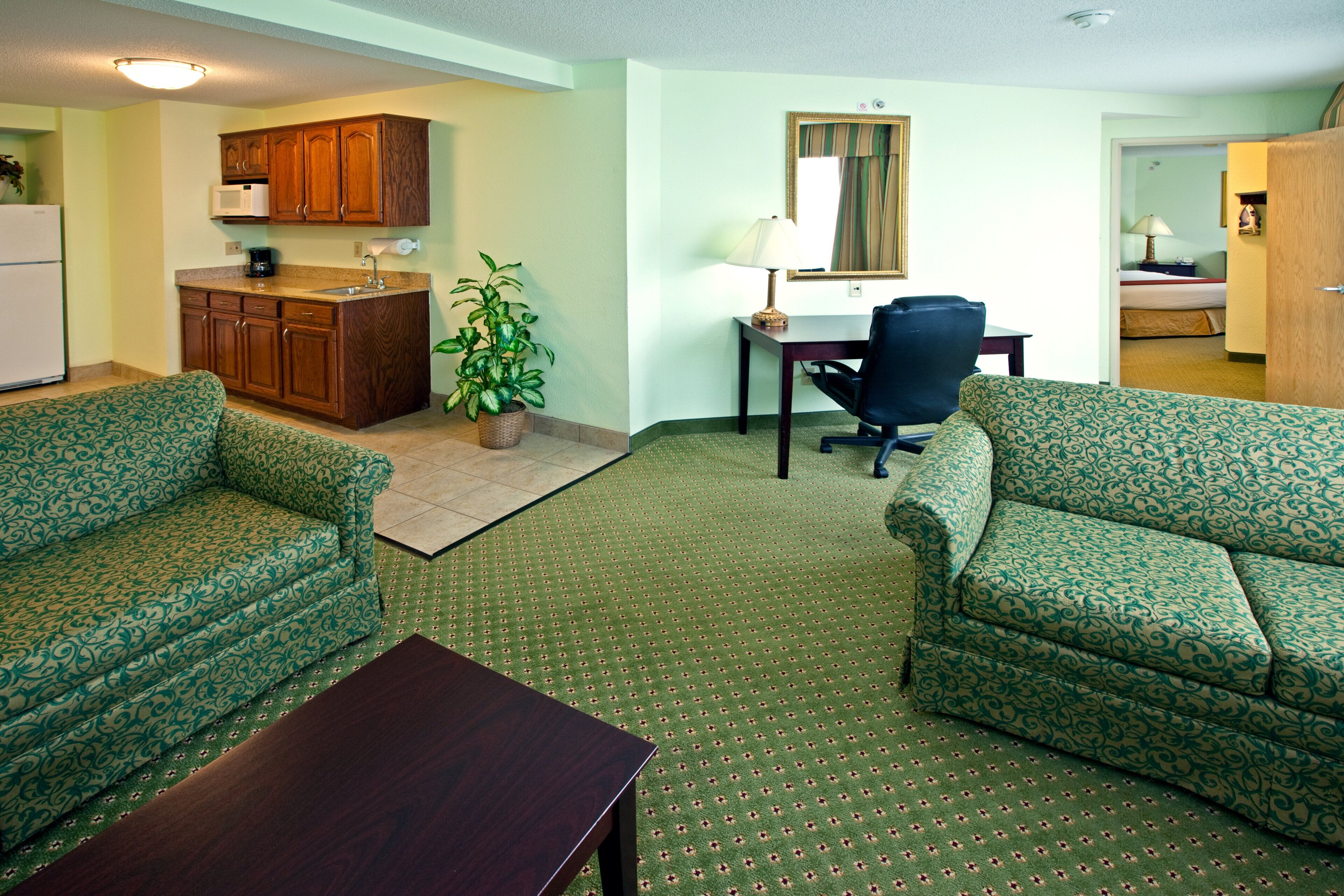 A compact living space with a kitchenette, two patterned sofas, a small table, and a potted plant.