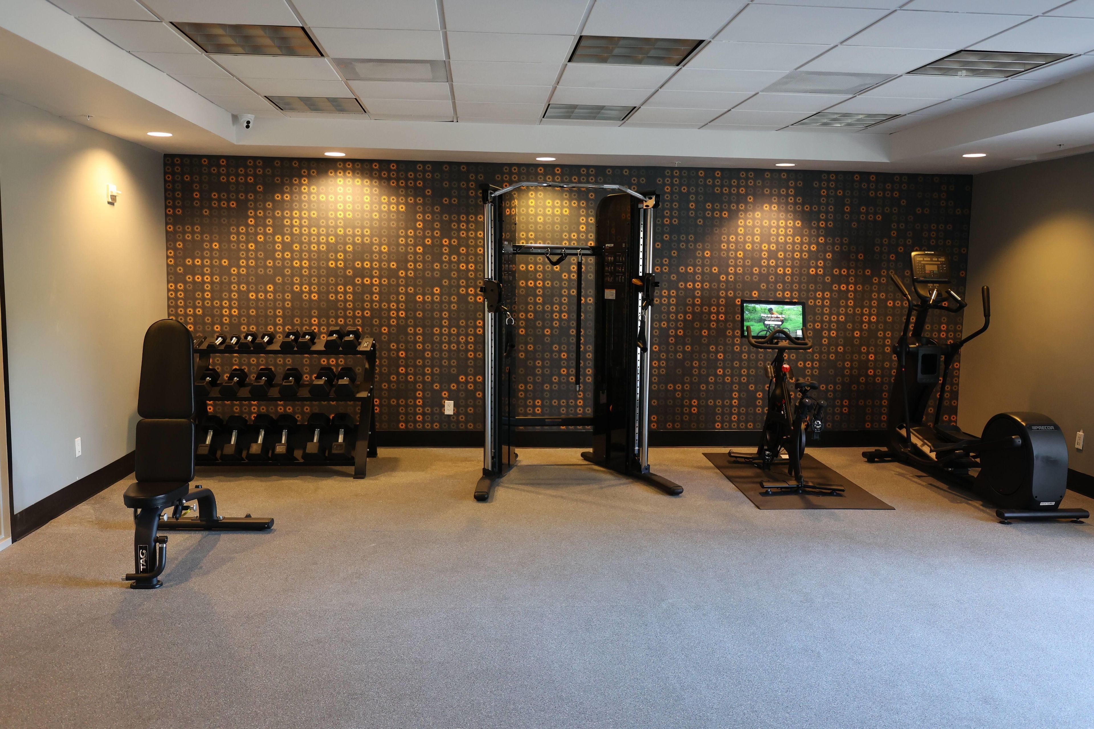 A gym with a pull-up bar, dumbbells, a stationary bike, and a TV screen.