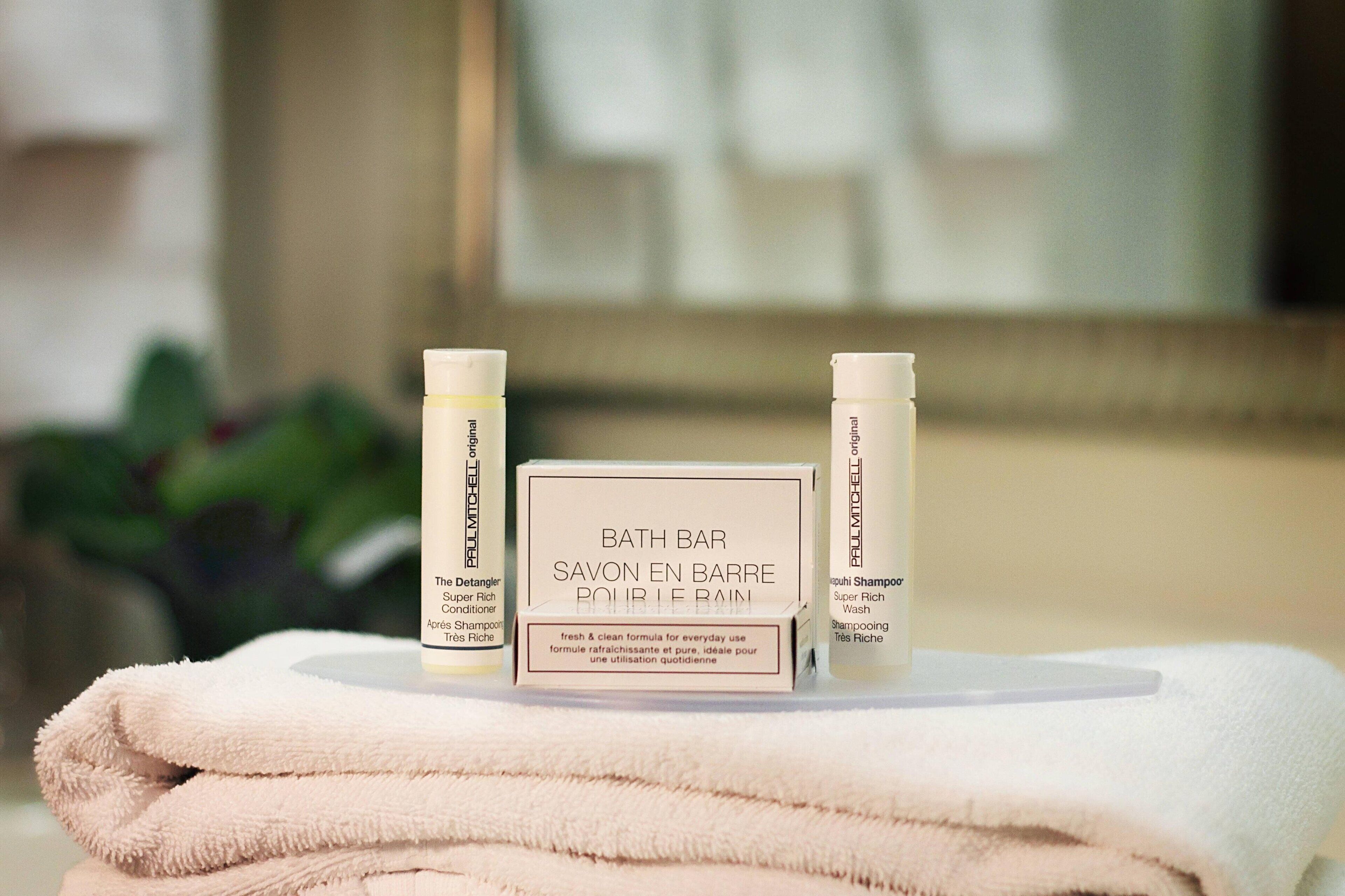 combined shower/bathtub, free toiletries, hair dryer, towels