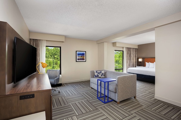 Studio Suite, 1 King Bed with Sofa bed (Microwave)