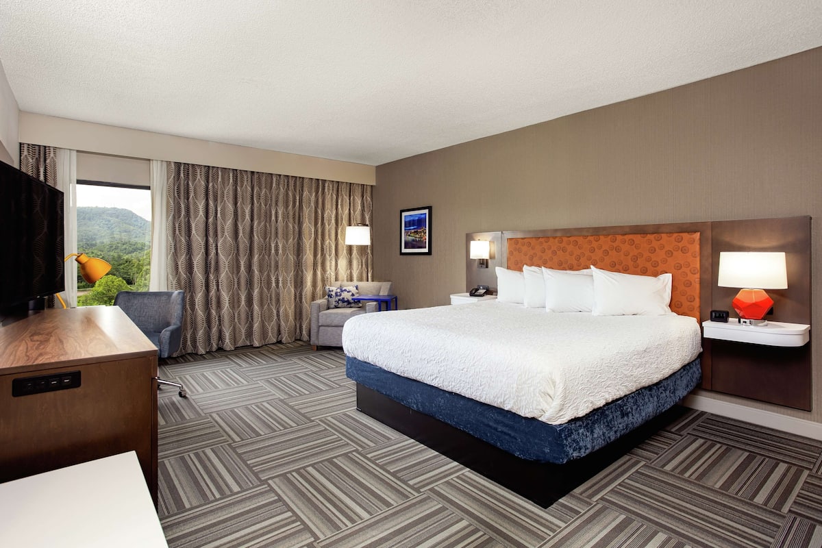 A hotel room with a large bed, a desk, a chair, a TV, and a view of the outdoors.