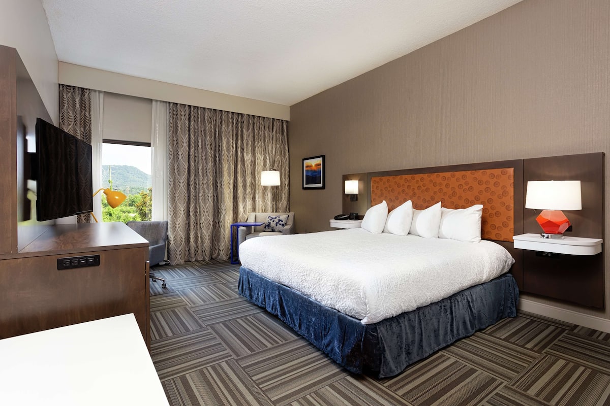 A hotel room with a large bed, a desk with a flat-screen TV, a desk lamp, a nightstand with a lamp, a window with curtains, and a painting on the wall.