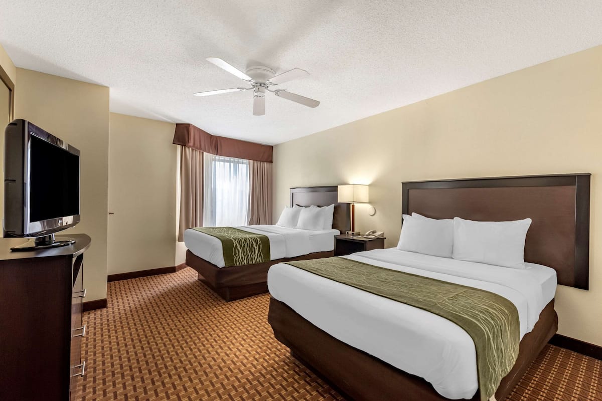 A hotel room with two beds, a television, a ceiling fan, and a carpeted floor.