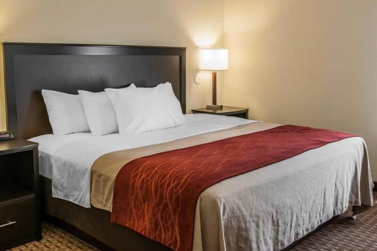 A hotel room with a large bed, a nightstand, a lamp, and a carpeted floor.