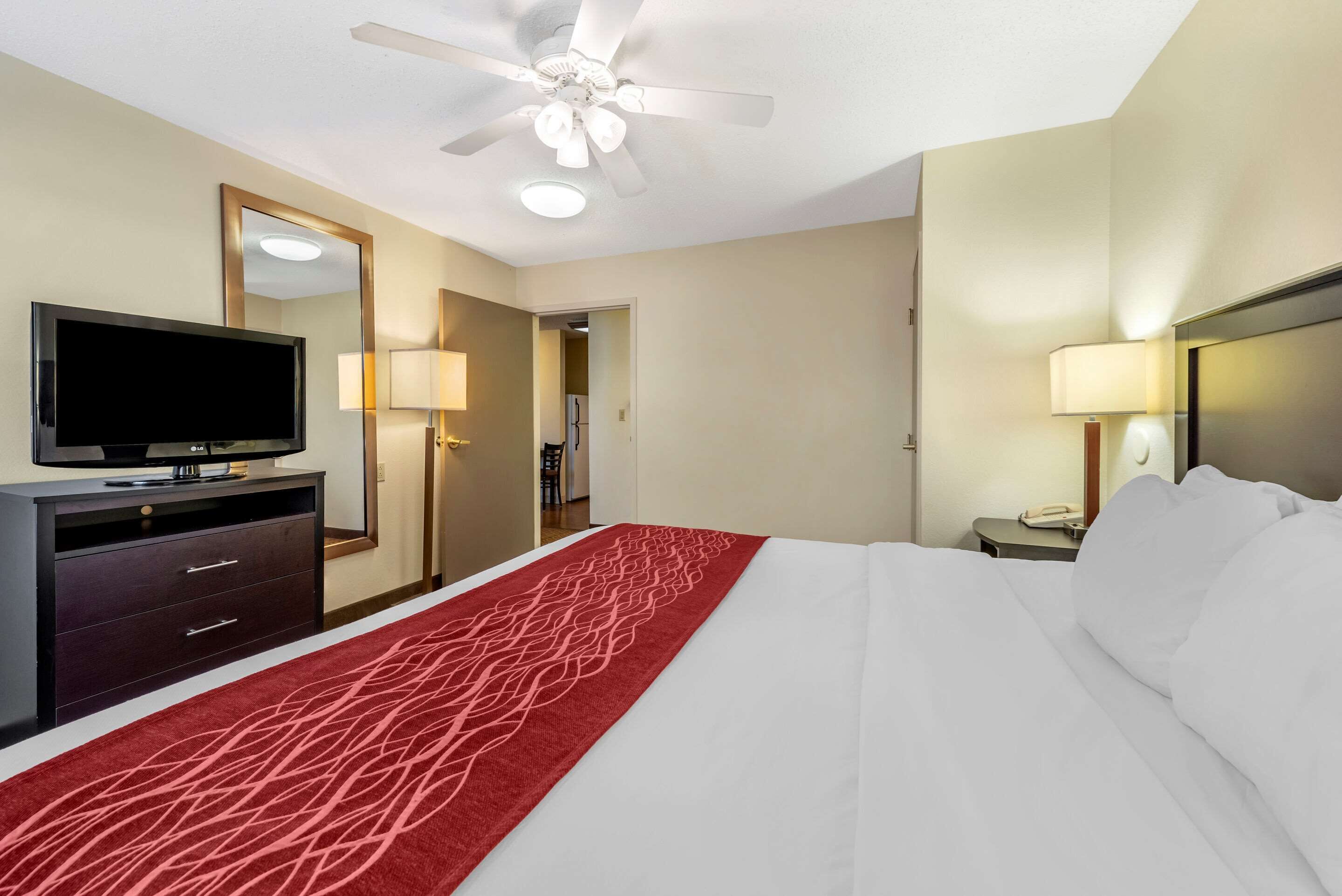 A hotel room with a bed, a TV, a ceiling fan, and a nightstand with a lamp.