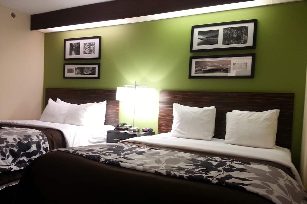 Ein Hotelzimmer mit zwei Betten, grünen Wänden, gerahmten Bildern, einem Nachttisch mit Lampe und einem Telefon.