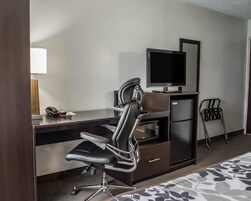 Habitación de hotel con escritorio, una silla, televisión, refrigerador y cama.