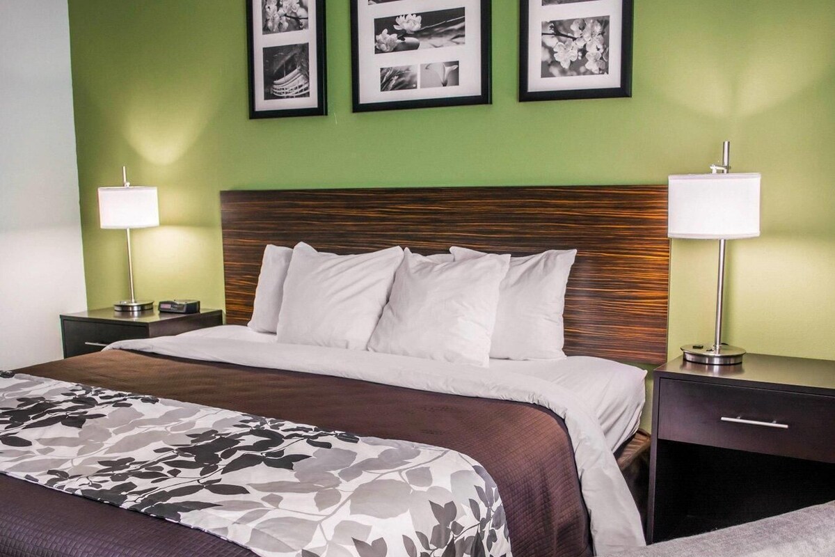 Standard Room, 1 King Bed, Non Smoking | Desk, laptop workspace, blackout drapes, iron/ironing board