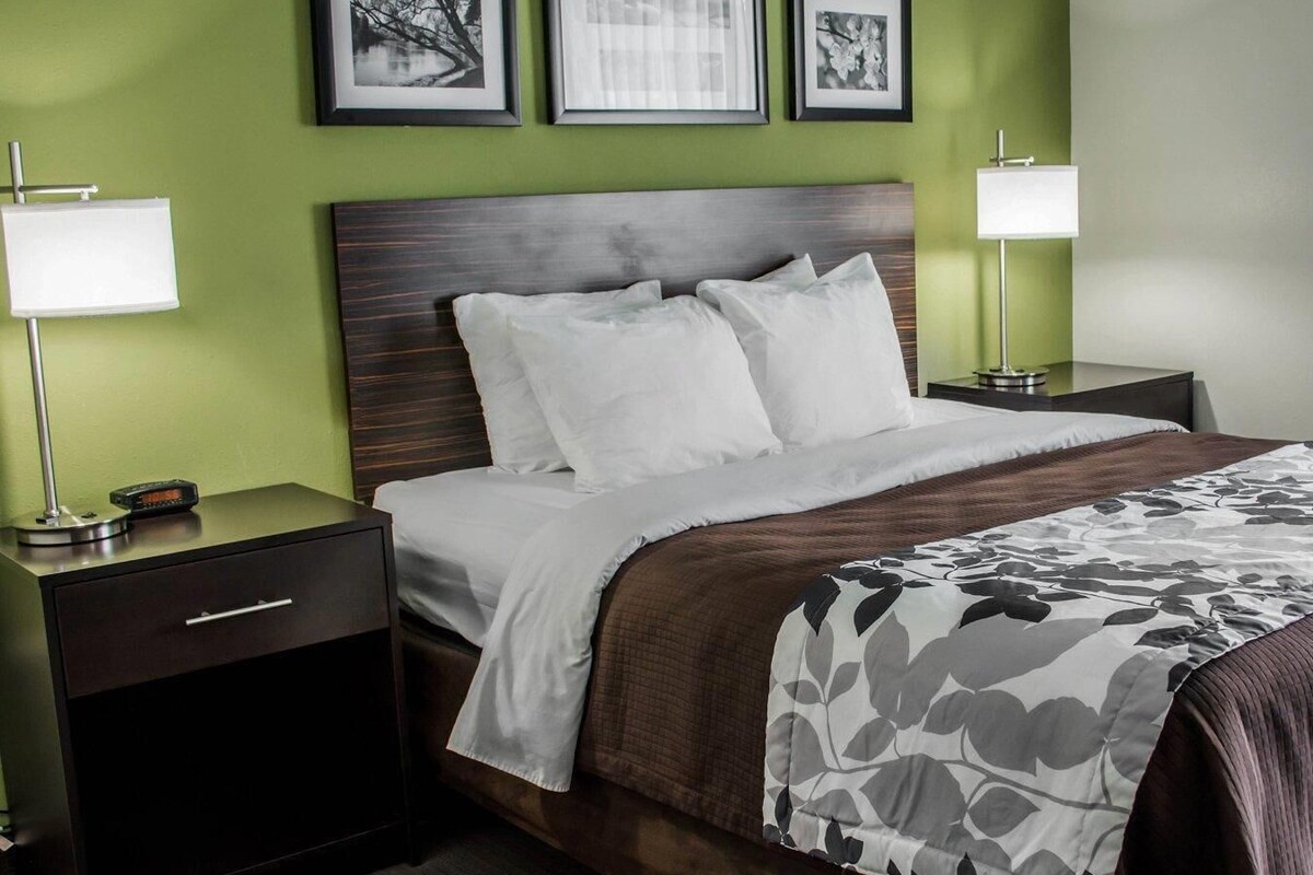 Standard Room, 1 Queen Bed, Accessible, Non Smoking | Desk, laptop workspace, blackout drapes, iron/ironing board