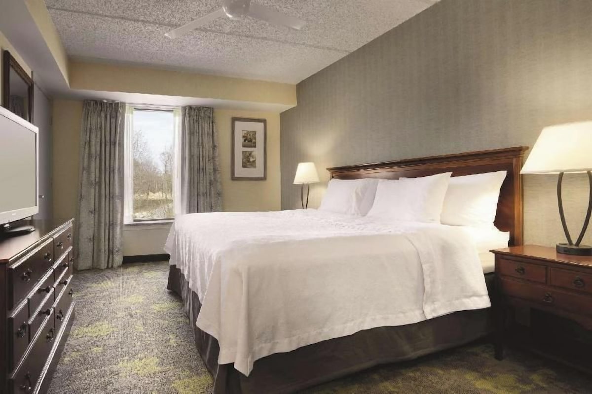 A hotel room with a bed, a dresser, a TV, a window with curtains, and a lamp on the nightstand.