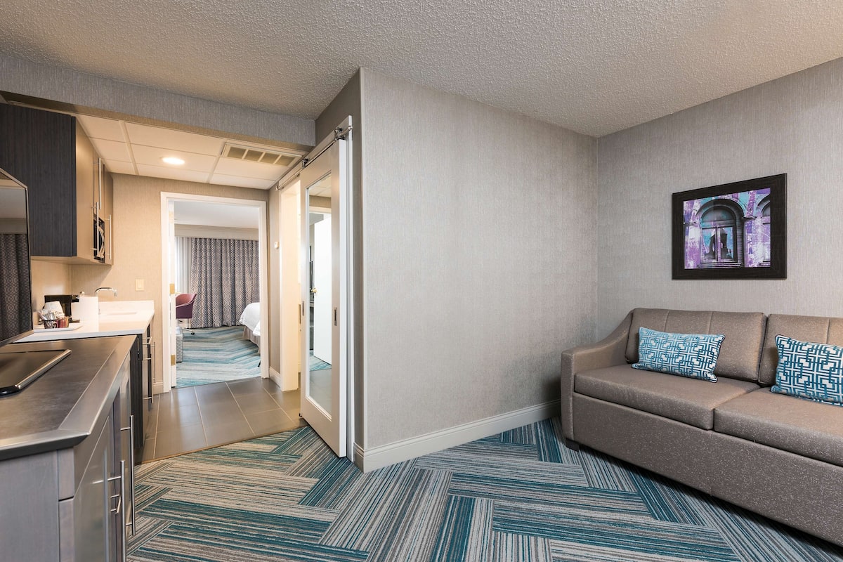 Suite, Non Smoking (Shower Only) | Living area | 40-inch LCD TV with satellite channels, TV