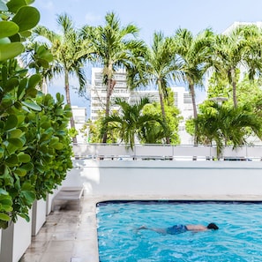 Outdoor pool, open 9:00 AM to 5:00 PM, pool umbrellas, pool loungers