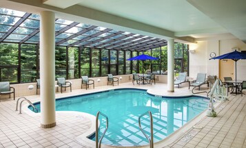 Indoor pool, pool loungers