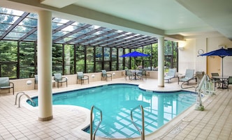 Una piscina techada, sillones reclinables de piscina