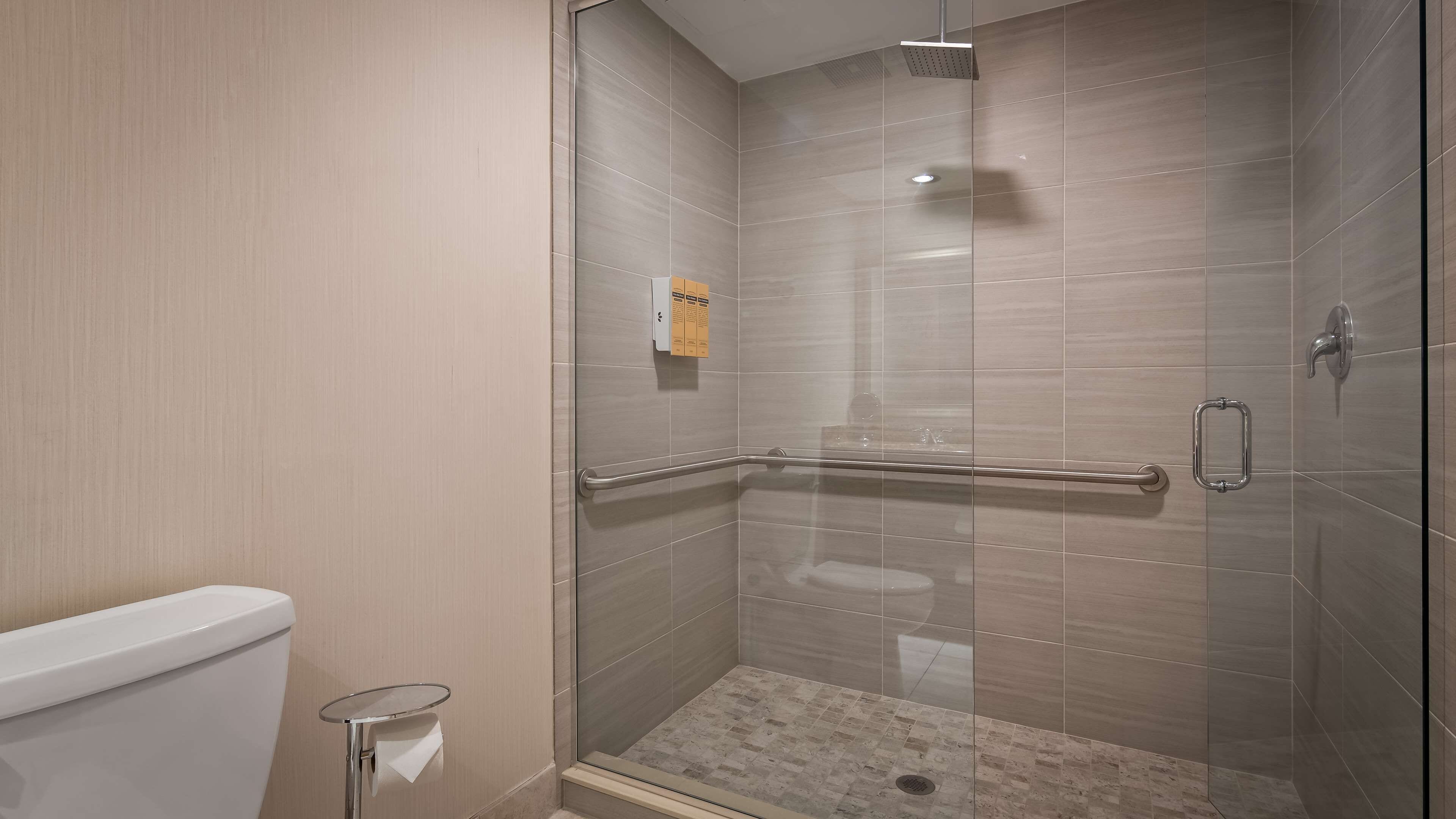 executive suite, 1 king bed, non smoking, refrigerator & microwave | bathroom | free toiletries, hair dryer, towels, soap