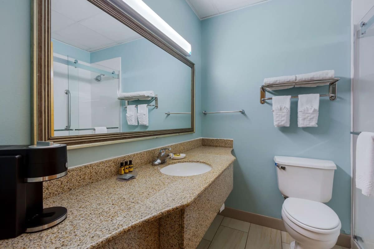 Bathroom | Combined shower/tub, free toiletries, hair dryer, towels