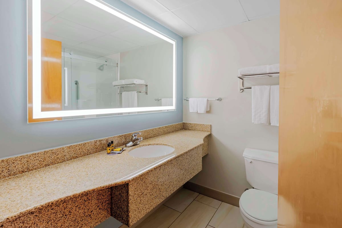 combined shower/bathtub, free toiletries, hair dryer, towels