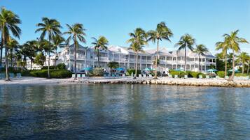 A beachfront hotel with multiple balconies, palm trees, and a pool area.