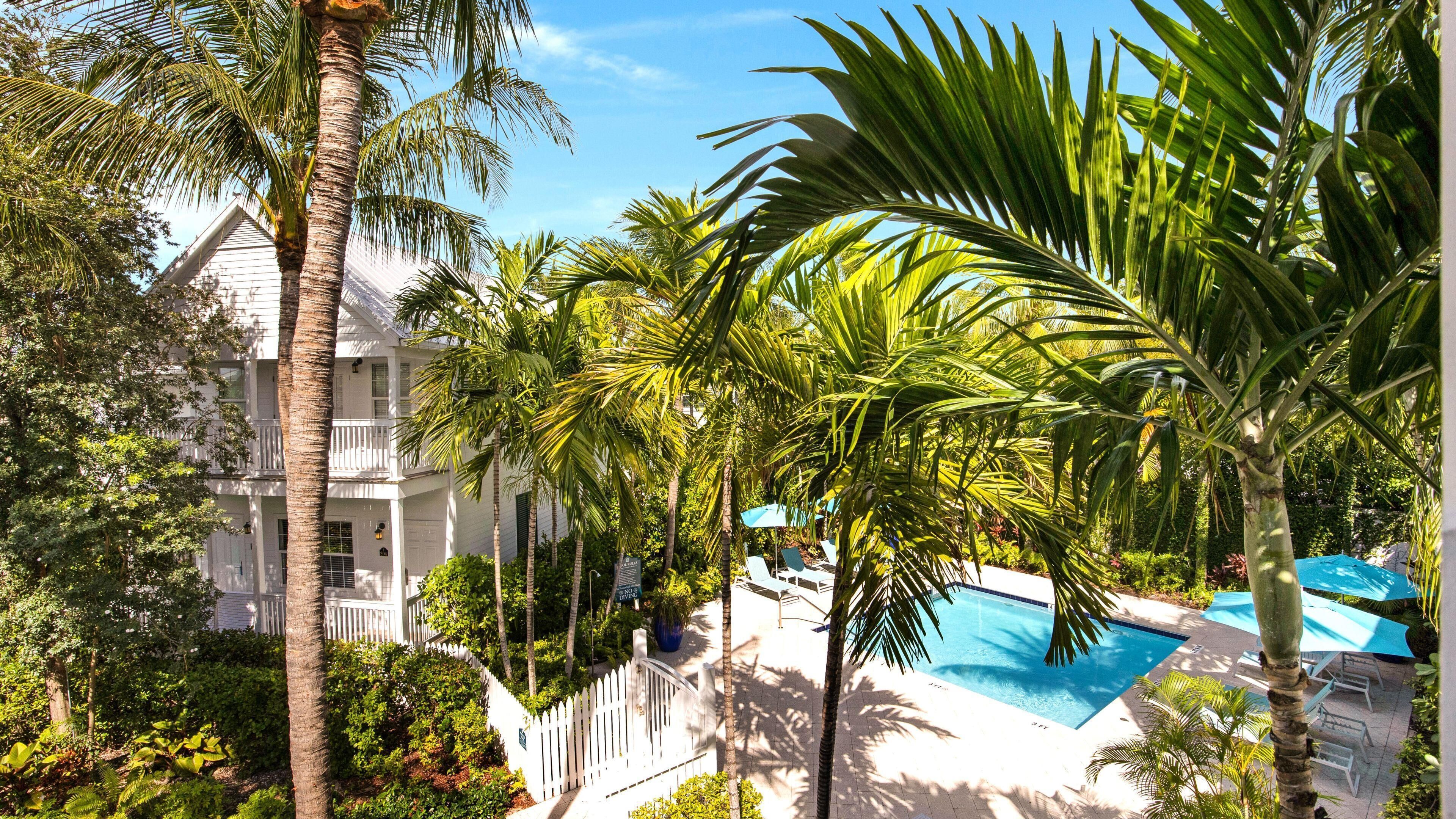 Superior Room, 2 Queen Beds (Tropical Garden) | View from room