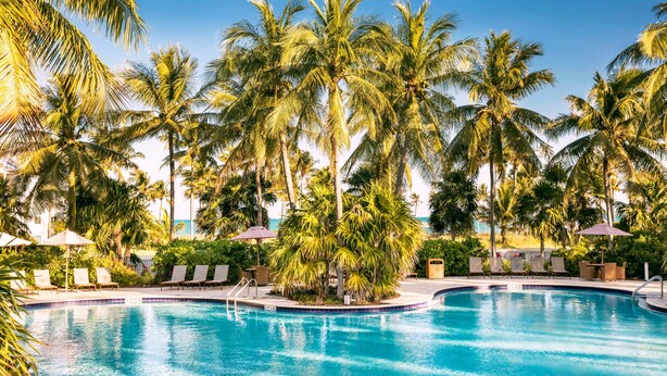 Una piscina rodeada de palmeras y sillas de descanso.