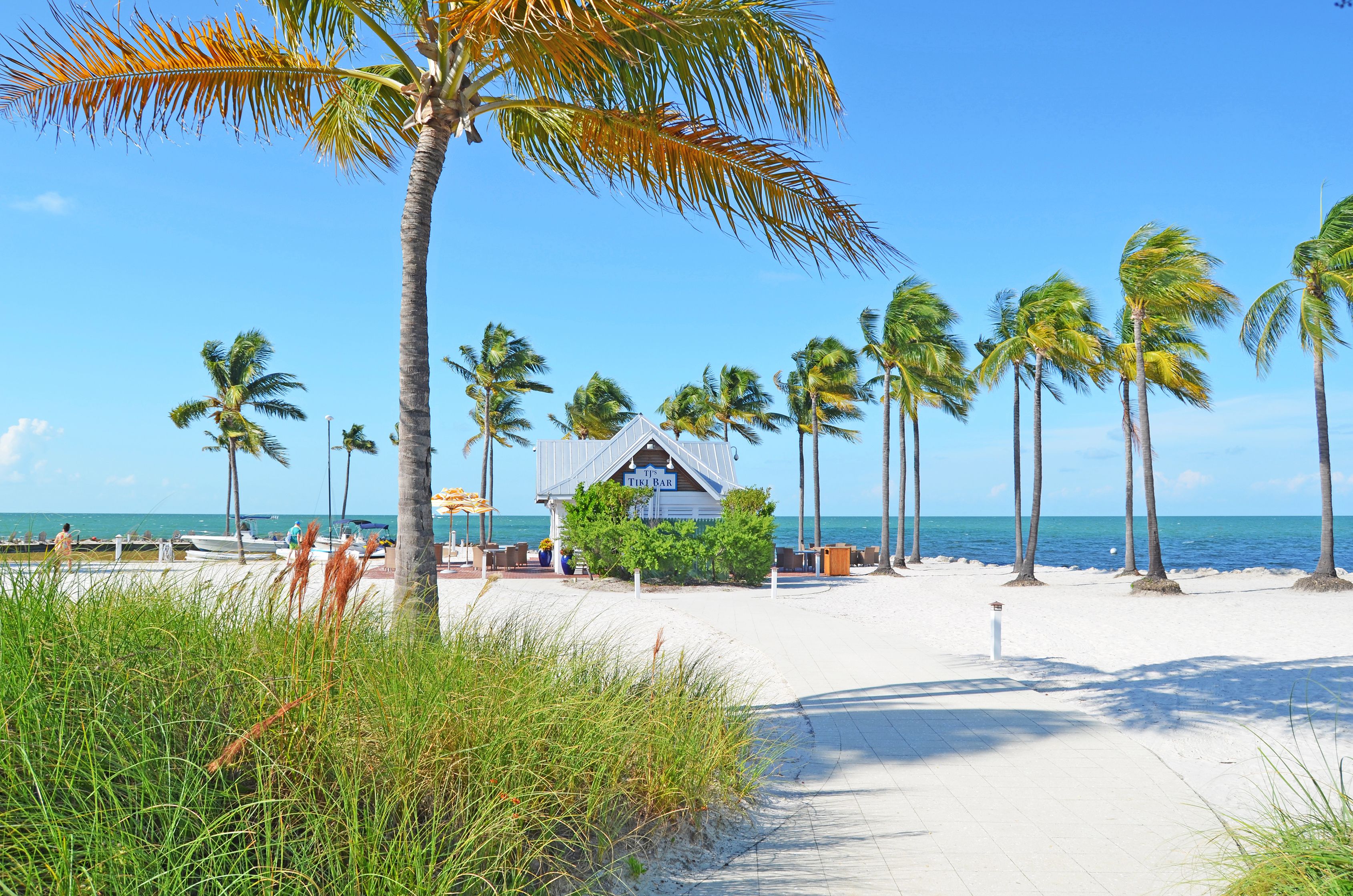 Private beach, sun loungers, beach bar