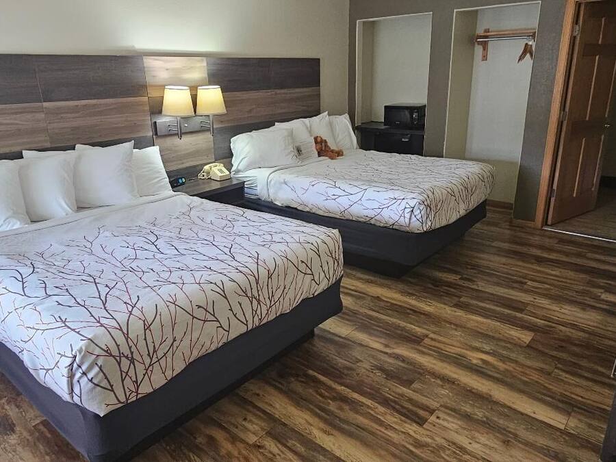 Camera d'albergo con due letti, pavimento in legno, un comodino con lampada, una TV e bagno visibile attraverso una porta aperta.