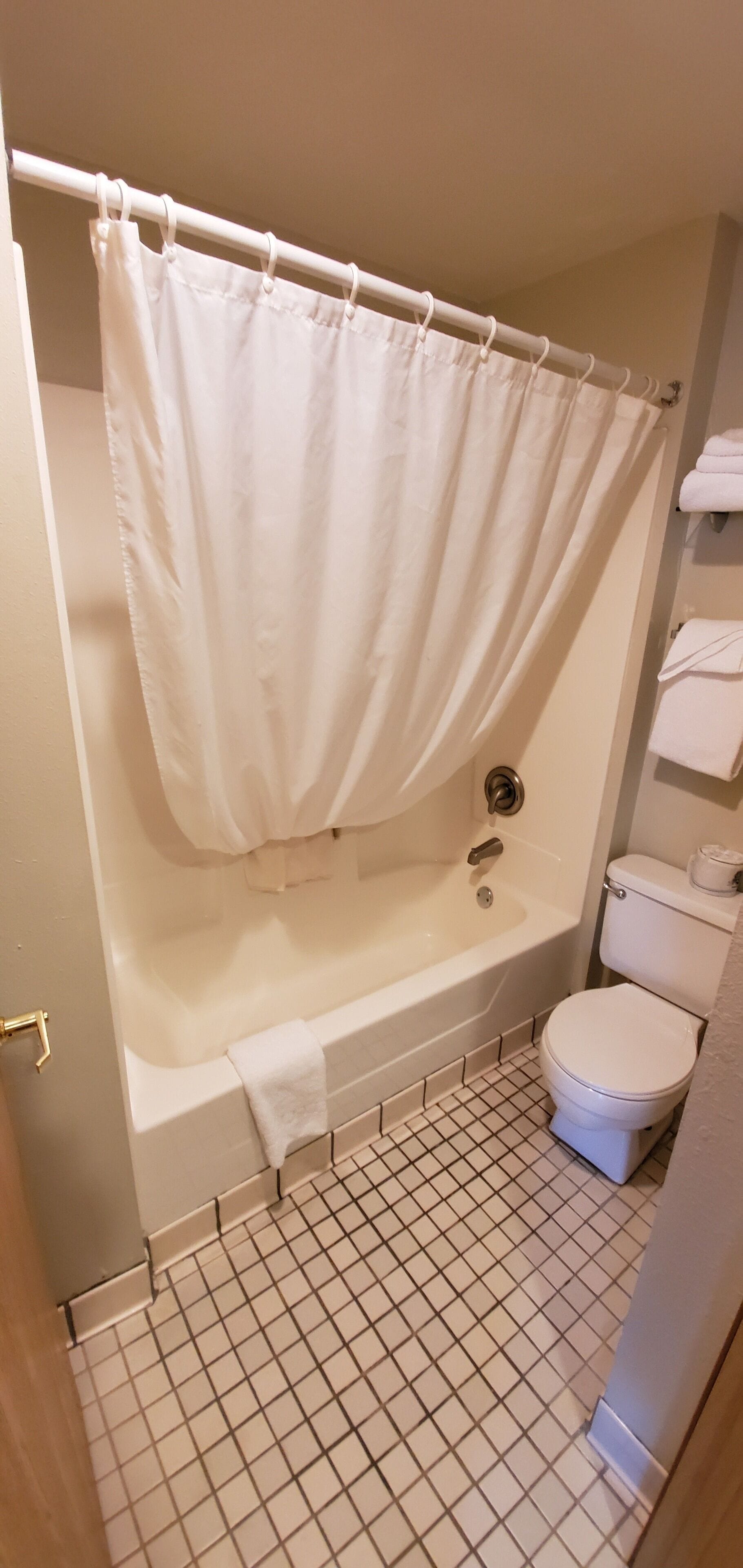 standard double room, 2 queen beds | bathroom shower
