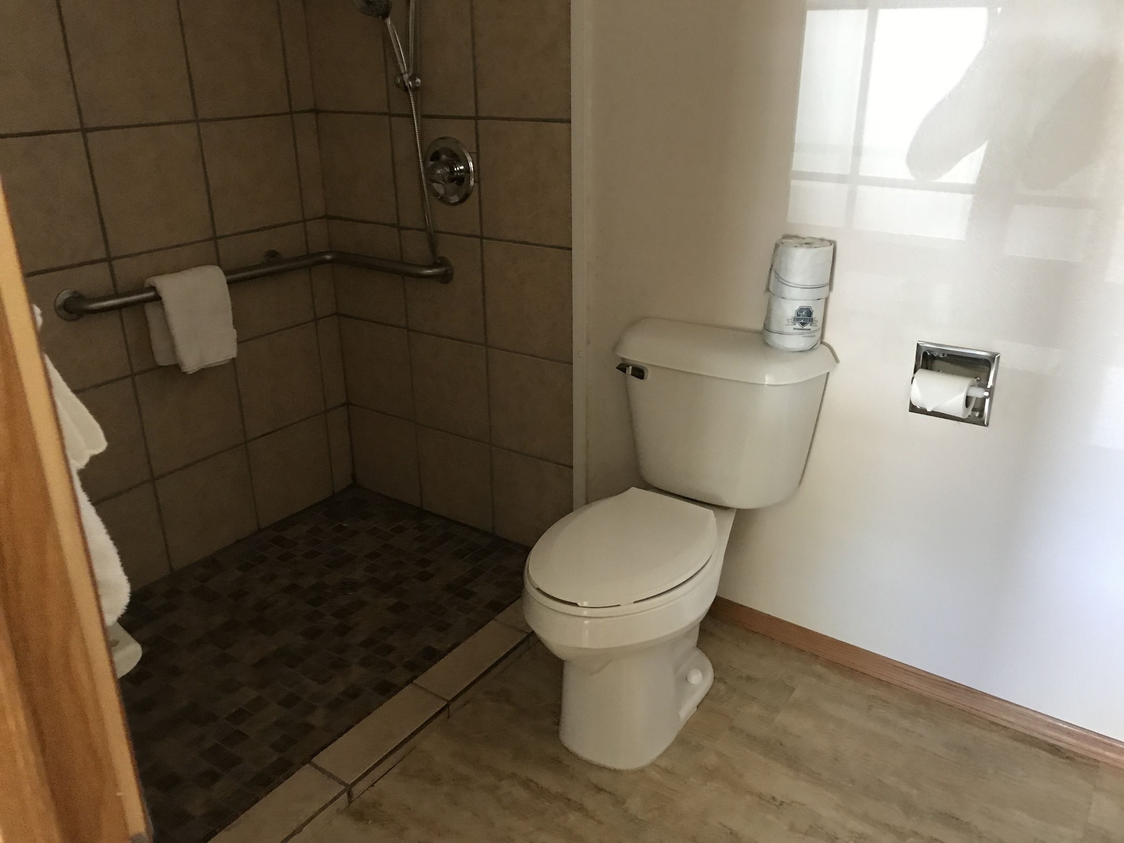 A bathroom with a toilet, a shower, and a toilet paper holder.