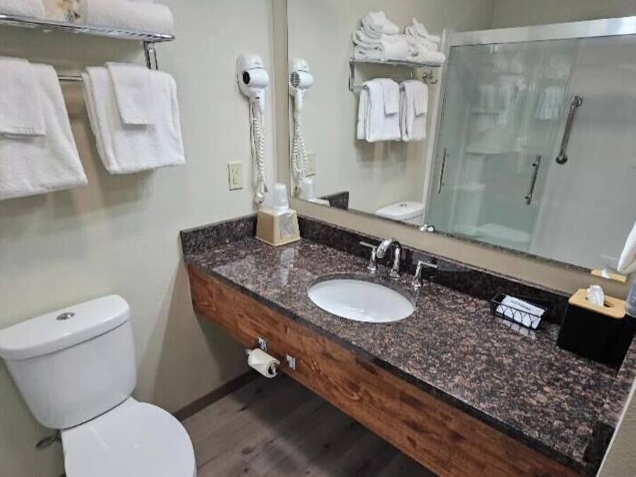 Un baño con inodoro blanco, lavamanos sobre encimera de granito, espejo y cabina de ducha de vidrio.
