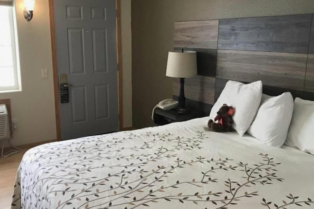 A hotel room with a bed, a nightstand, a lamp, a teddy bear, and a window.