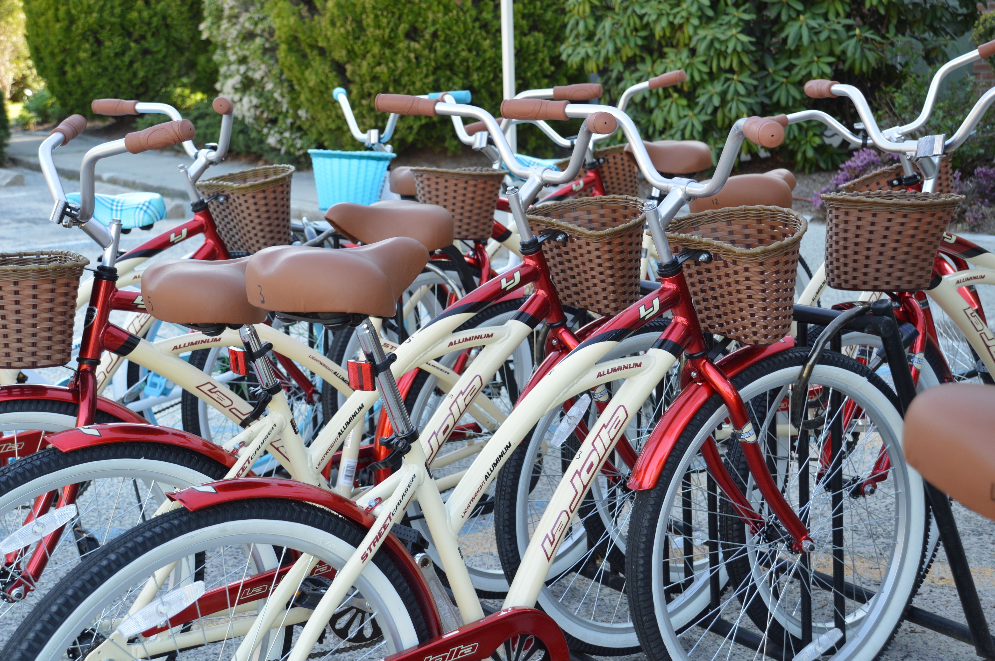 Varias bicicletas con cestas y un contenedor azul al fondo.
