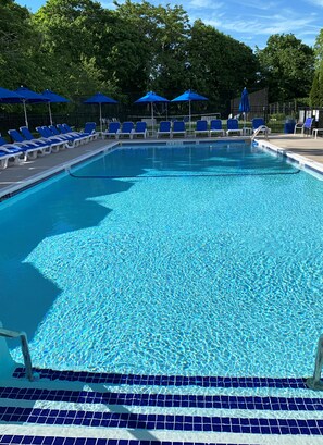 Seasonal outdoor pool, open 8 AM to 8 PM, pool umbrellas, pool loungers