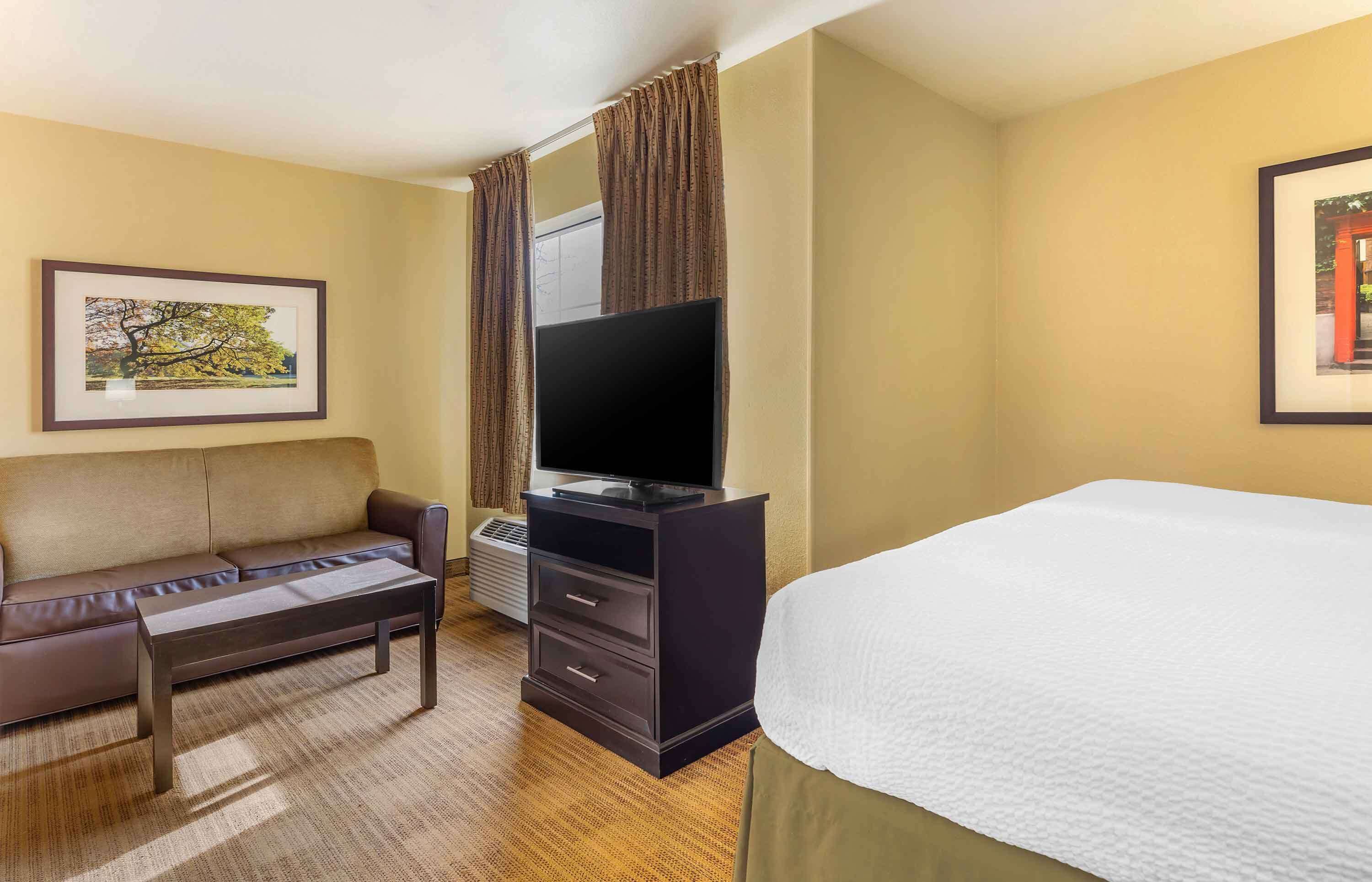 A hotel room with a bed, a sofa, a TV on a dresser, and a framed picture on the wall.