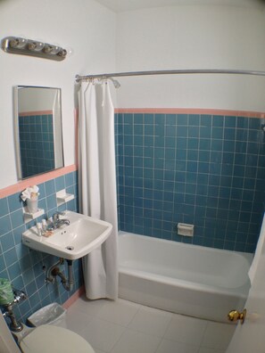 Combined shower/tub, free toiletries, hair dryer, towels