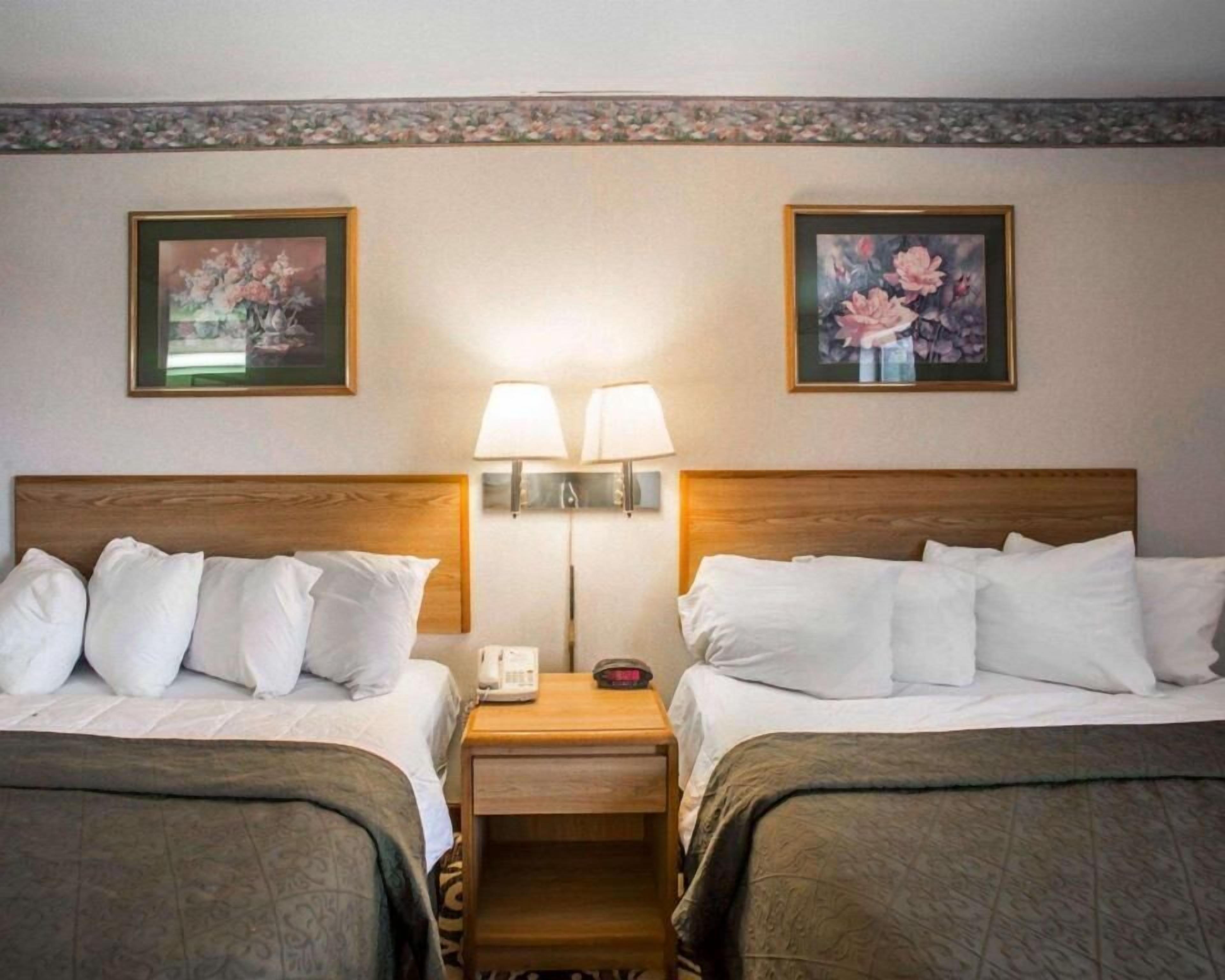 Egyptian cotton sheets, premium bedding, down comforters
