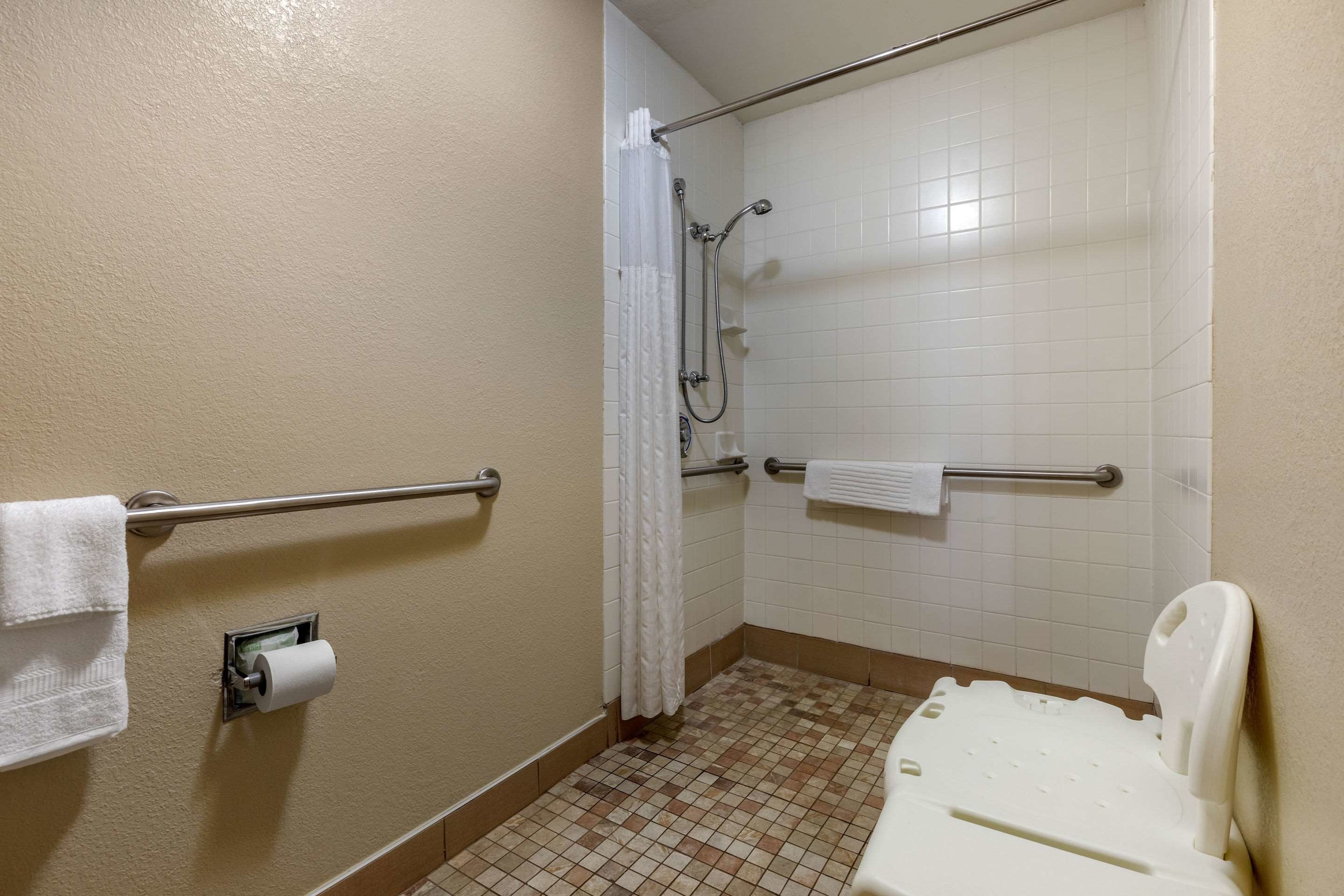 suite, 1 king bed, accessible, non smoking | bathroom | free toiletries, hair dryer, towels, toilet paper