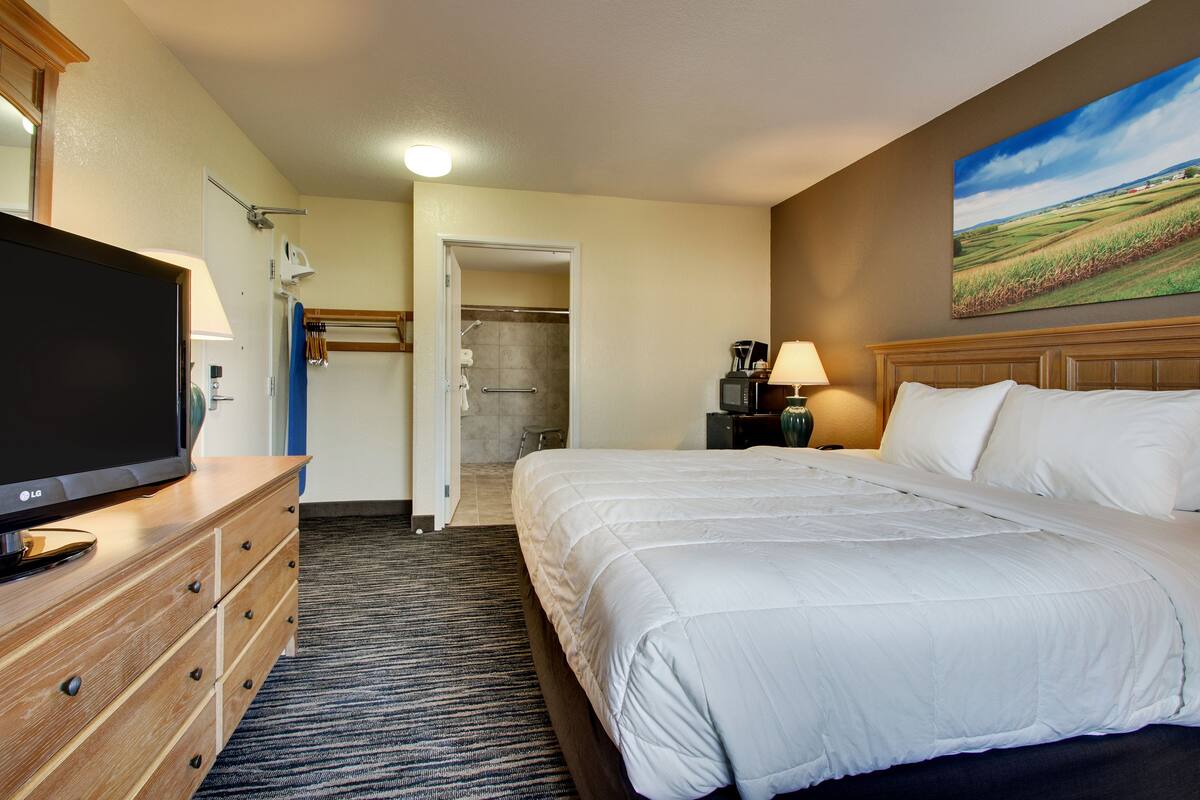 Habitación de hotel con una cama grande, un televisor en una cómoda de madera, un cuadro en la pared y zona de ducha.