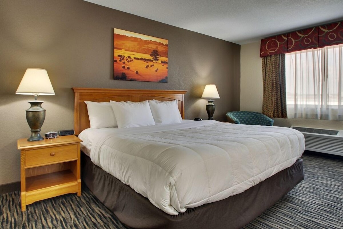 Desk, iron/ironing board, WiFi (free), alarm clocks