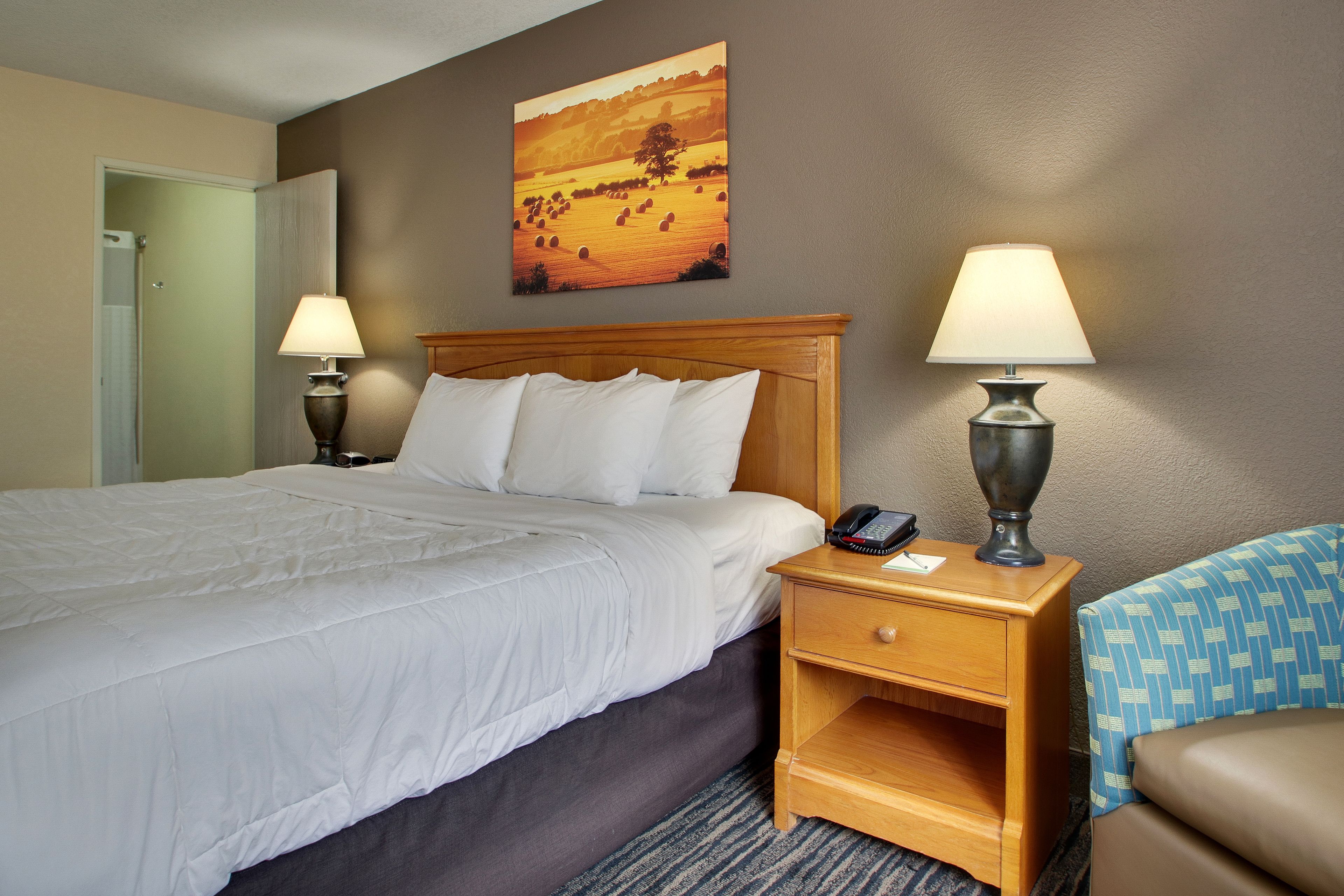 A hotel room with a large bed, two bedside lamps, a wooden nightstand, a telephone, and a painting on the wall.